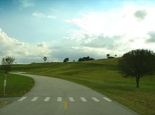 Enlarge photo 76