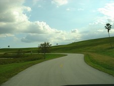 Enlarge photo 75