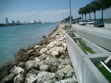 Enlarge photo 28