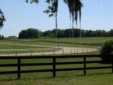 ROLLING HILLS /MEADOWS/OCALA