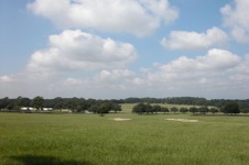 Enlarge photo 33