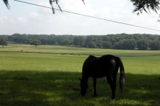 Enlarge photo 34