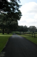 Enlarge photo 36