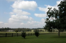 Enlarge photo 37