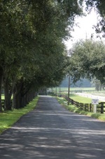 Enlarge photo 38
