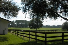Enlarge photo 40