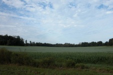 Enlarge photo 42