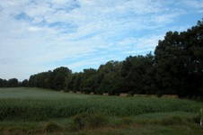 Enlarge photo 43