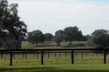 Enlarge photo 44