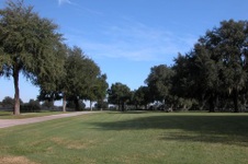 Enlarge photo 45