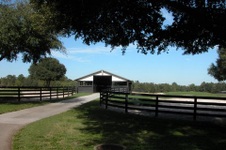Enlarge photo 46