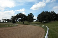 Enlarge photo 50