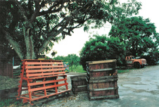 Enlarge photo 25