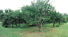 Enlarge photo 27