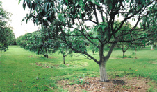 Enlarge photo 29