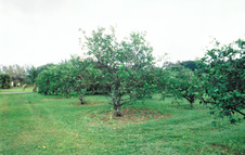 Enlarge photo 31