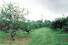 Enlarge photo 34