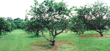 Enlarge photo 36