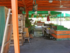 Enlarge photo 37