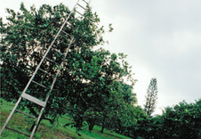 Enlarge photo 40