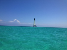 Enlarge photo 25