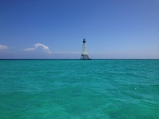 Enlarge photo 28