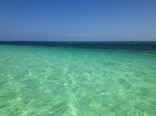 Enlarge photo 32