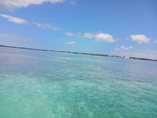 Enlarge photo 30