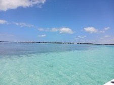 Enlarge photo 43