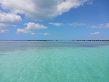 Enlarge photo 31