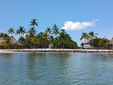 Enlarge photo 35