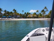 Enlarge photo 33