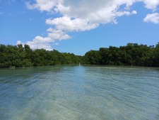 Enlarge photo 44