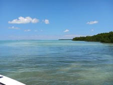 Enlarge photo 48