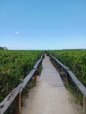 Enlarge photo 47