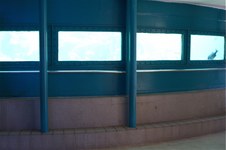 Enlarge photo 30