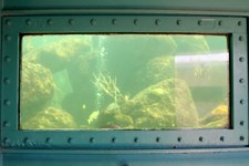 Enlarge photo 33