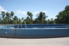 Enlarge photo 29