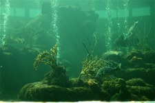 Enlarge photo 14