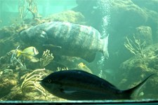 Enlarge photo 21