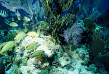 Enlarge photo 46