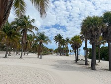 Enlarge photo 30