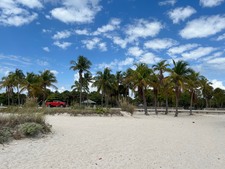 Enlarge photo 85