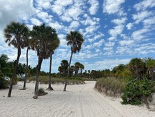Enlarge photo 87