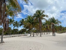 Enlarge photo 89