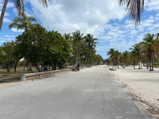 Enlarge photo 91
