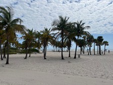 Enlarge photo 92