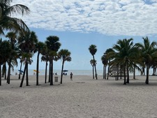 Enlarge photo 93