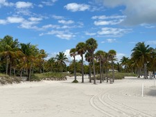 Enlarge photo 55