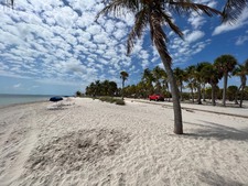 Enlarge photo 59